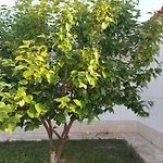 Vlore Casa Vacanze *