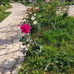Feriehus Vlore Casa Vacanze *