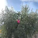 Vlore Casa Vacanze *