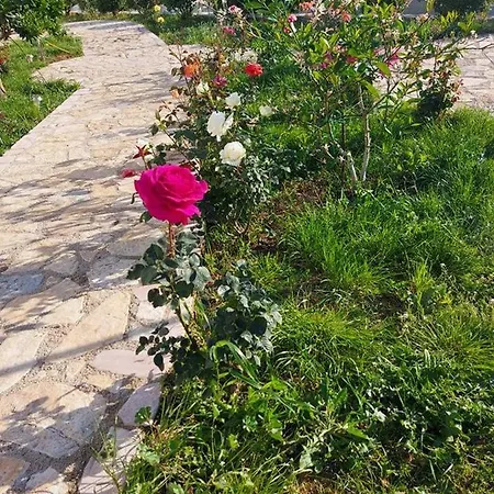 Tatil Evi Vlore Casa Vacanze *