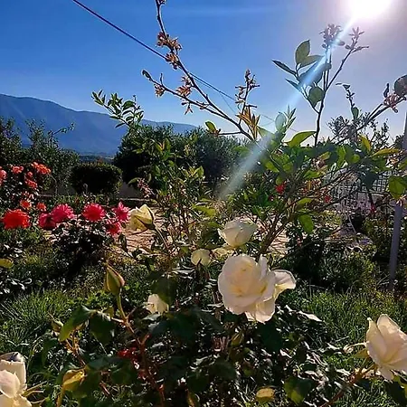 Tatil Evi Vlore Casa Vacanze