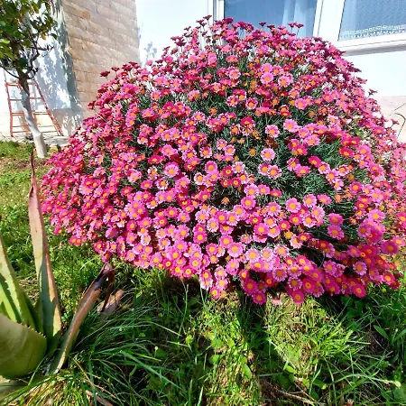 Tatil Evi Vlore Casa Vacanze *