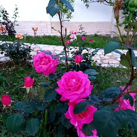 Vlore Casa Vacanze * Avlonya