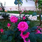 Vlore Casa Vacanze * Vlorë