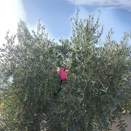 Vlore Casa Vacanze *
