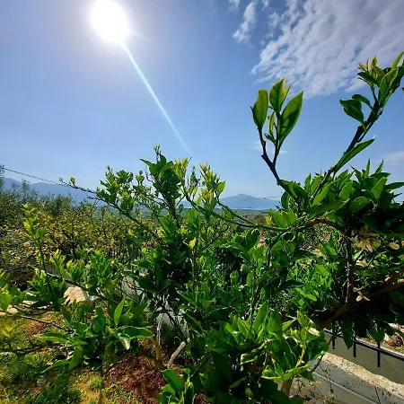 Vakantiehuis Vlore Casa Vacanze *