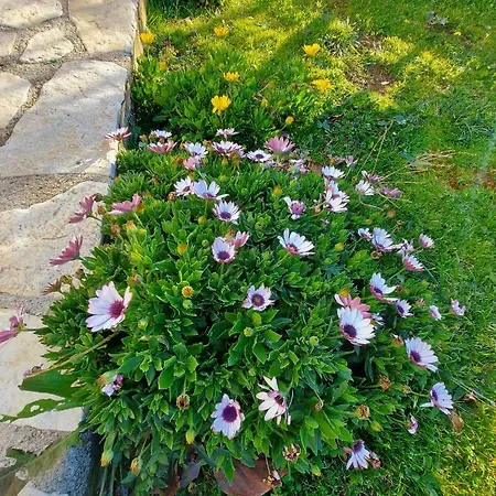 Дом отдыха Vlore Casa Vacanze