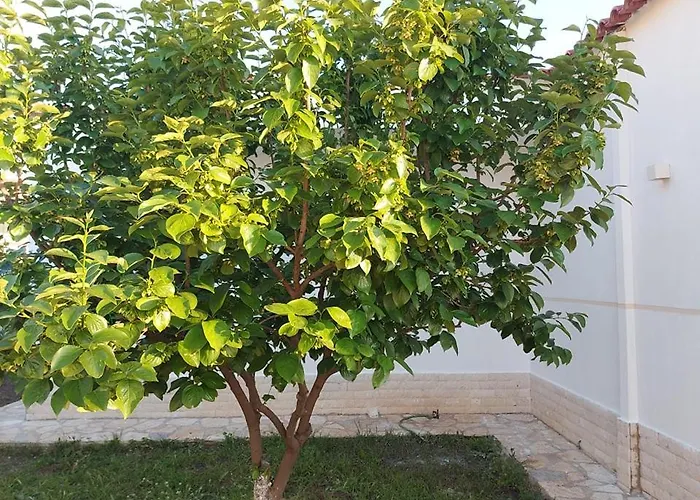 Vlore Casa Vacanze *
