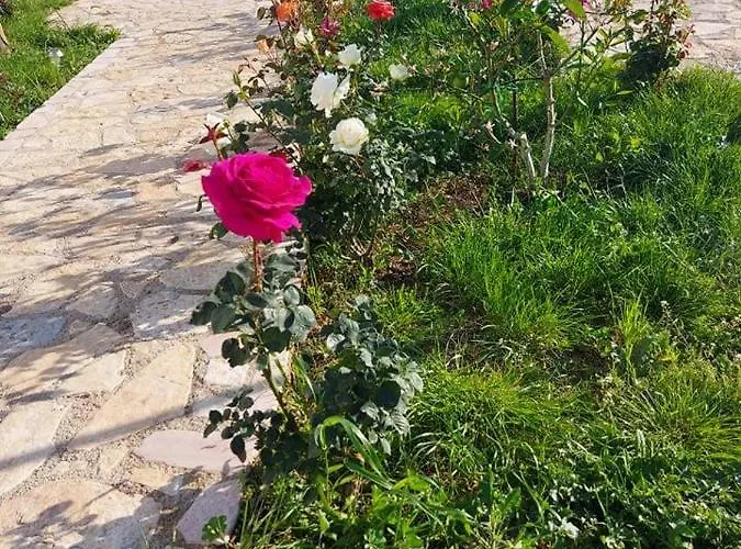 Nyaraló Vlore Casa Vacanze *