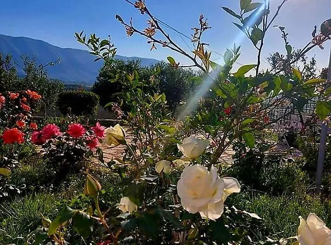 Nyaraló Vlore Casa Vacanze