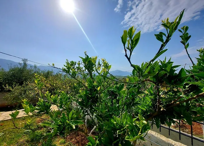 Nyaraló Vlore Casa Vacanze *